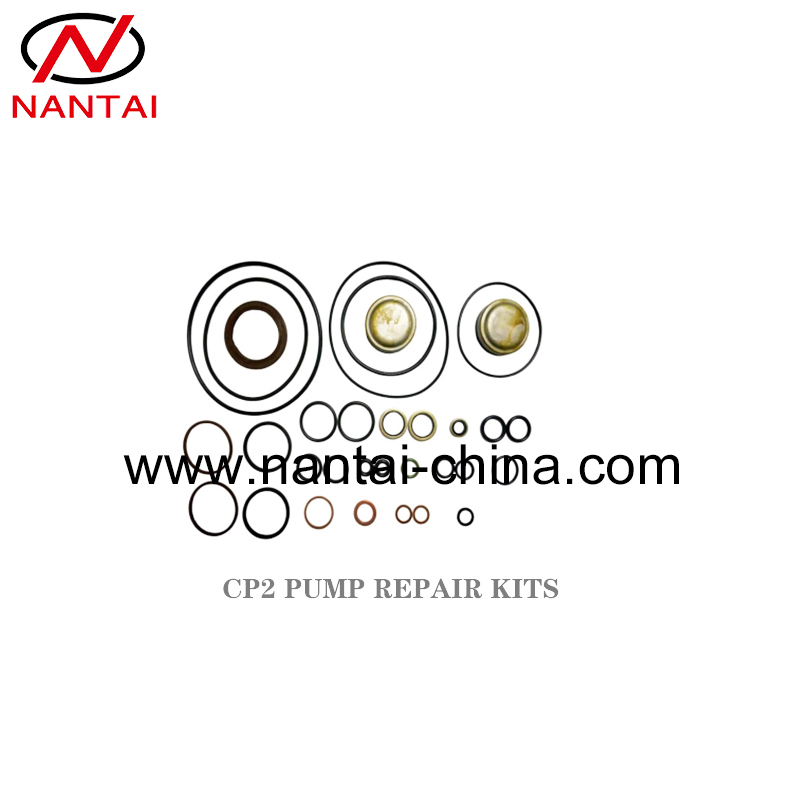 Repair Kits Pumps Common-Rail type CP2